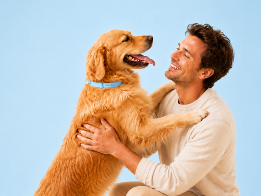 Comment créer un rituel apaisant avant de laisser son chien seul ?
