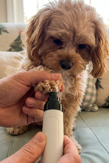 Griffes Zen Pro