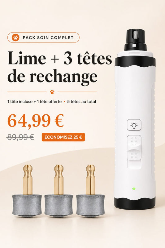 Pack Soin Griffes Zen — Lime + 3 têtes de rechange